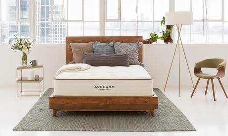 The 5 Best Mattresses For People With Fibromyalgia Avocado Proper back support Green Mattress