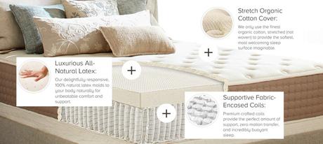 Eco Terra Mattress Reviews 2020 – Eco-friendly hybrid latex mattress Construction of the mattress