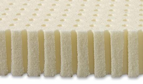 What are the Different Types Of Latex? – All You Need To Know