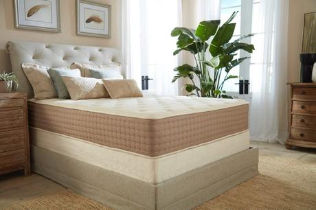 Eco Terra Medium-Firm Mattress