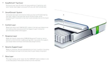 Tempur-Flex Mattress