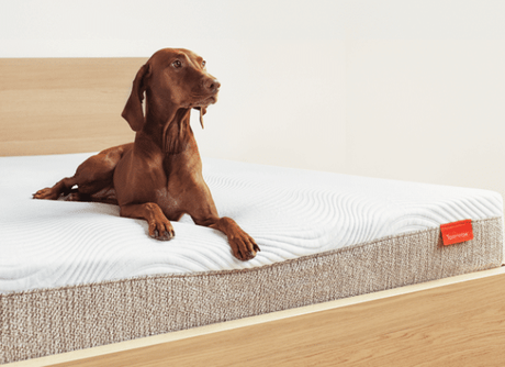 edge support of tomorrow mattress