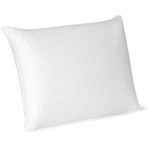 Beautyrest Latex Foam Pillow