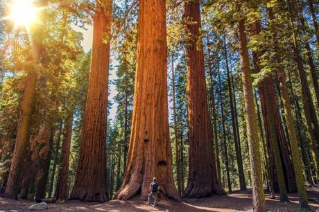 Take Amazing Virtual Tours of America’s National Parks With Google Earth