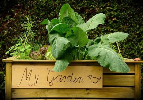 10 Ways you can Improve your Garden