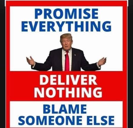 Image may contain: 1 person, possible text that says 'PROMISE EVERYTHING DELIVER NOTHING BLAME SOMEONE ELSE'