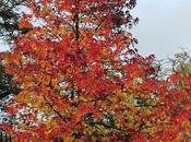 Leak Tragedy Visakhapatnam