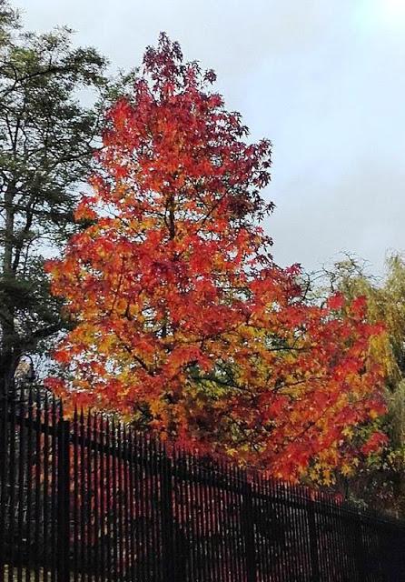 gas leak tragedy in Visakhapatnam