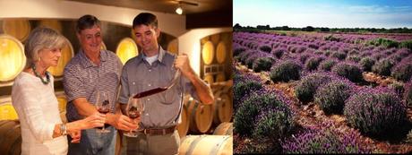 Wines Deep in the Heart of Texas from Becker and Fall Creek Vineyards