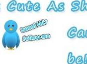 Flying Twitter Bird Widget Your Blogs