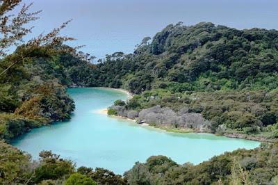 IN NEW ZEALAND DURING THE COVID-19 PANDEMIC, Part 1: ABEL TASMAN and PAPAROA NATIONAL PARKS, Guest post by Caroline Hatton