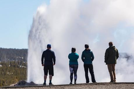 Catch Old Faithful Geyser Eruption On the National Park Service Livestream