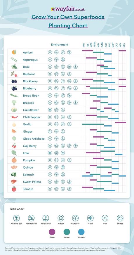 Growing superfoods