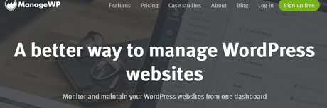 WordPress blog theme