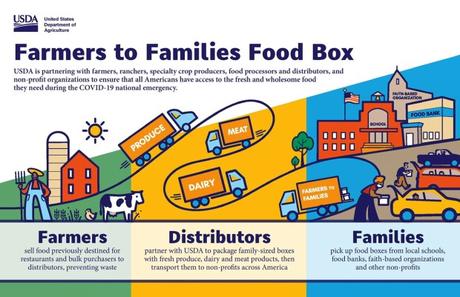 graphic for Farmers to Families Food Box program 