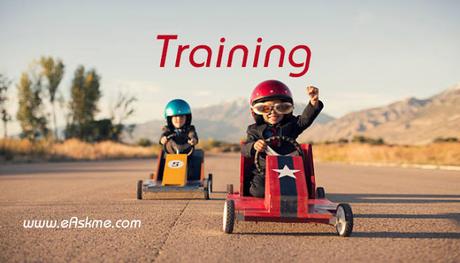 What are the Best Training Products for an Online Business?