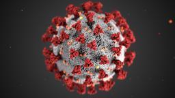 Coronavirus pandemic: Updates from around the world