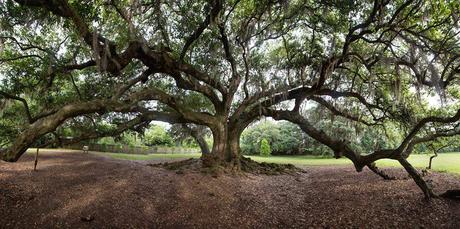 12 Things to Do in New Orleans After Mardi Gras