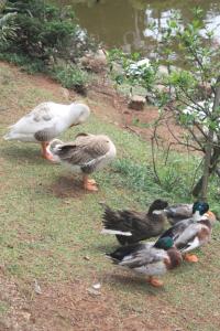 POEM: Scenes from a Park Bench