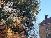 Southern Charms Charlotte, North Carolina