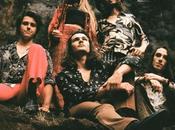 Sunflower: Better Days