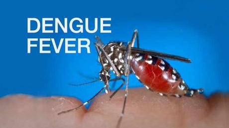 Dengue Fever and its Ayurvedic Treatment