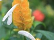 Hibernation’s Haiku