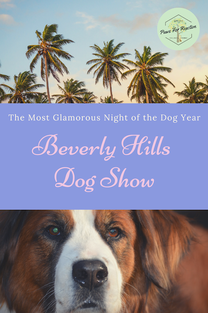 The Beverly Hills Dog Show airs tonight!