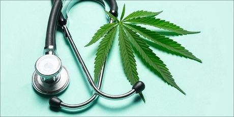 Cannabis May Stop Coronavirus From Infecting People, Study Finds 