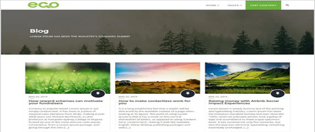 Gutenberg WordPress Themes