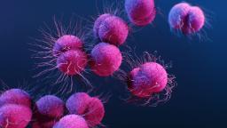 Coronavirus pandemic: updates from around the world