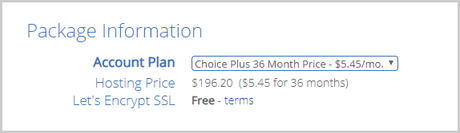 web hosting package information