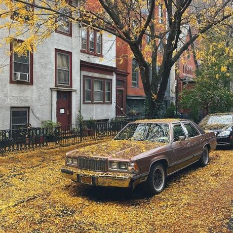 Sometimes Distractions are Good Sometimes Distractions are Good