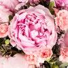 Peonies of May: 5 things to know Peonies of May: 5 things to know