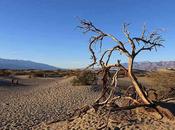 Hikes Death Valley California