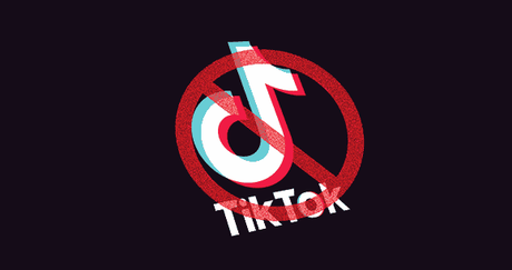How to Permanently Delete Your TikTok Account? How to Permanently Delete Your TikTok Account?