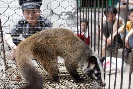 China Province pays compensation for abstaining from wild animals !