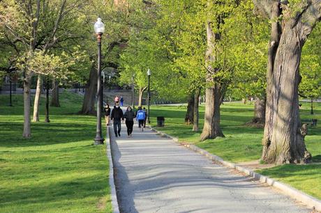 Boston Common Master Plan Continues | May 19, 2020