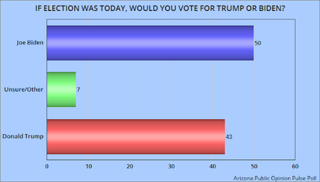 Biden Leads Trump In Florida, Arizona, And Virginia