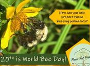 World Day: Protect Bees