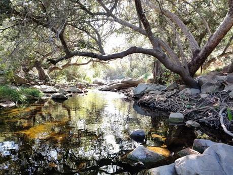 10 Spookiest Haunted Places in America Where You Can Go Ghost Hunting