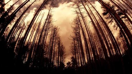 10 Spookiest Haunted Places in America Where You Can Go Ghost Hunting