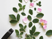 Natural Alternatives Everyday Personal Care Products