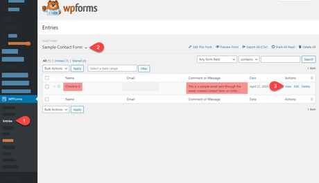 WPForms Check Form Entries