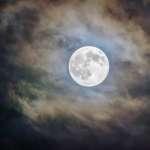full moon werewolf