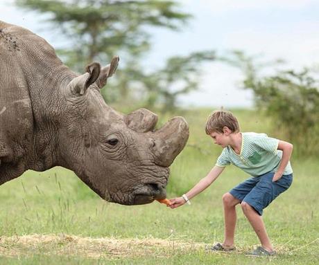 Wildlife documentaries you must watch in lockdown