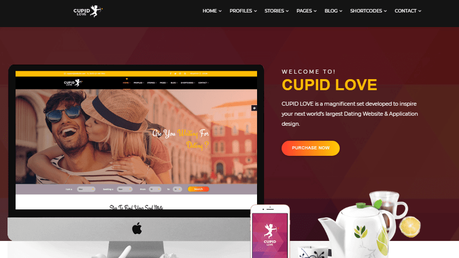 Best WordPress Dating Themes 2020