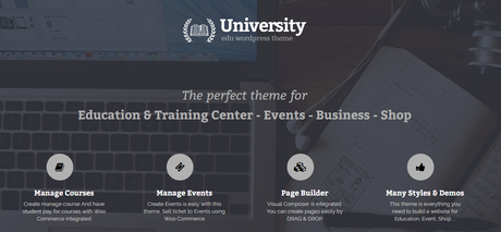 WordPress LearnDash Themes