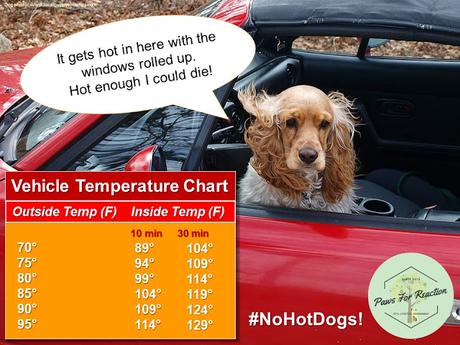 Heatstroke in dogs: Vehicle temperature chart for dogs in hot cars