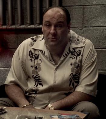 Tony Soprano’s Aloha Panel-Print Shirt in “Irregular Around the Margins” Tony Soprano’s Aloha Panel-Print Shirt in “Irregular Around the Margins”